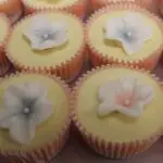 NY Cheesecake